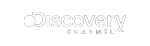 Streaming partner